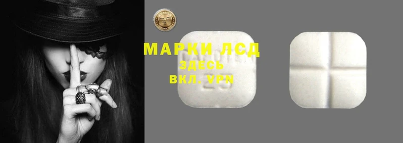 spice Белокуриха