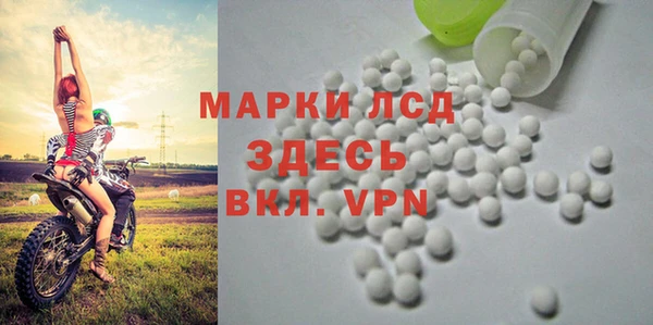 spice Белокуриха