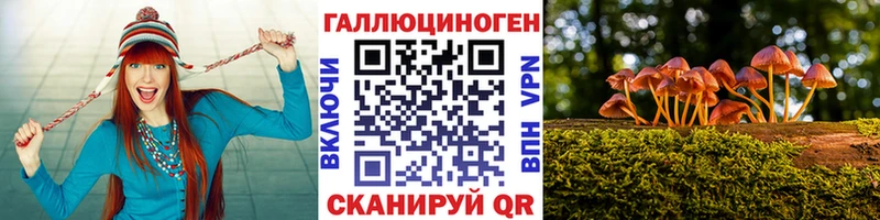 Галлюциногенные грибы GOLDEN TEACHER  дарнет шоп  Купино 