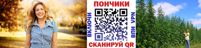 продажа наркотиков  Купино  Марихуана конопля 
